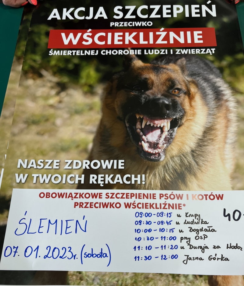 Szczepienia przeciwko wściekliźnie