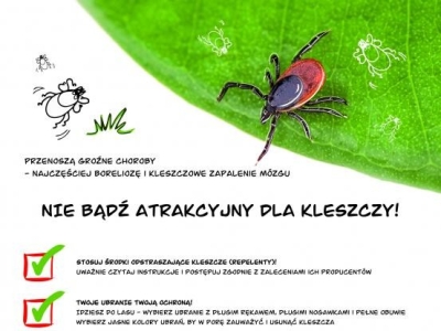 Bezpieczne wakacje  - zdjęcie3